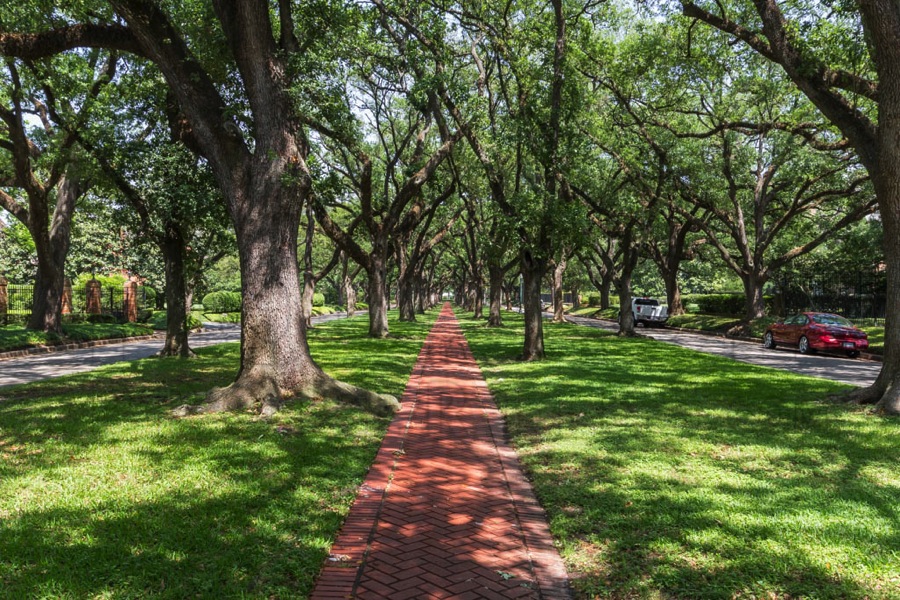 Boulevard Oaks Houston Homes, Real Estate Guide